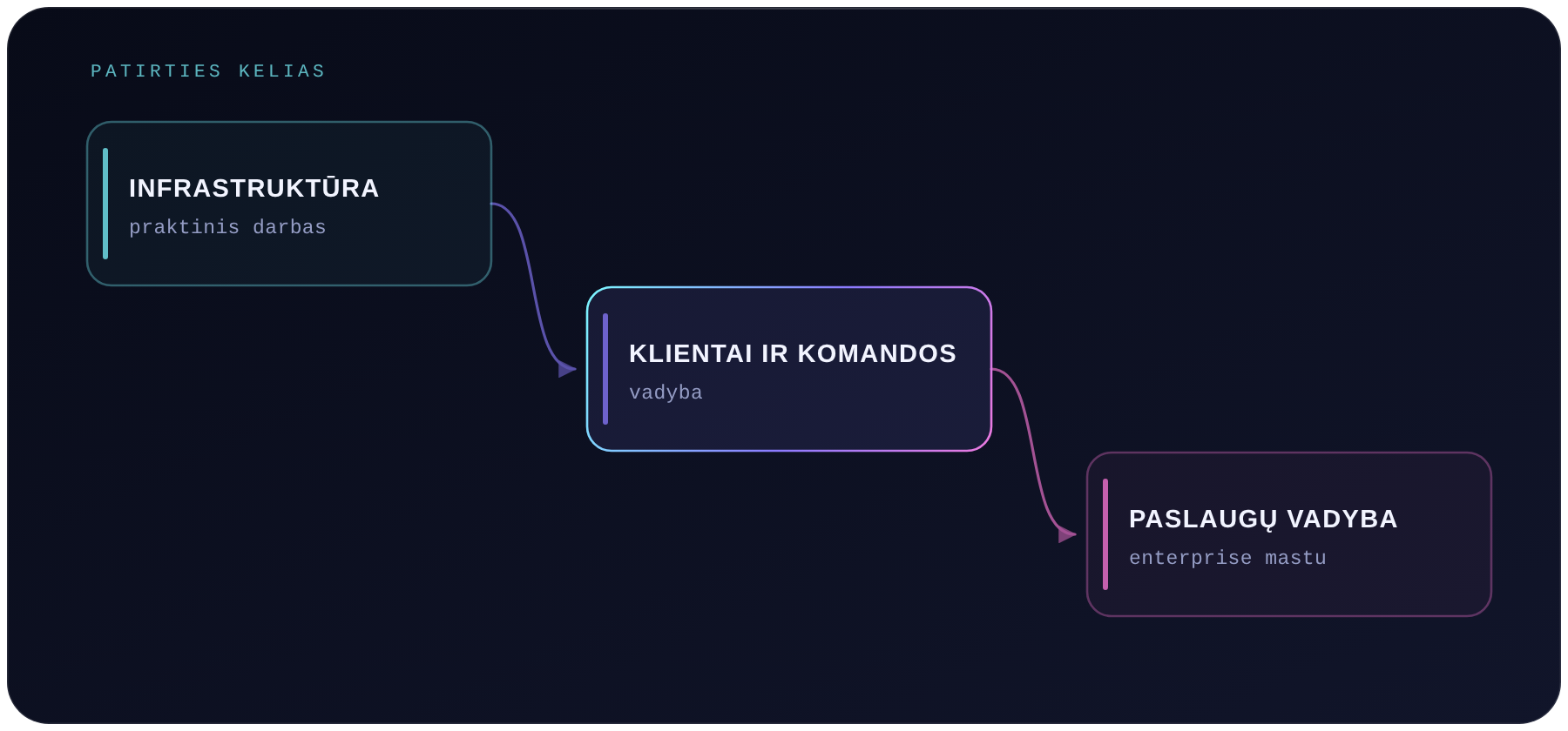 Schema: patirties kelias — praktinis darbas su infrastruktūra, klientų ir komandų vadyba, paslaugų vadyba
